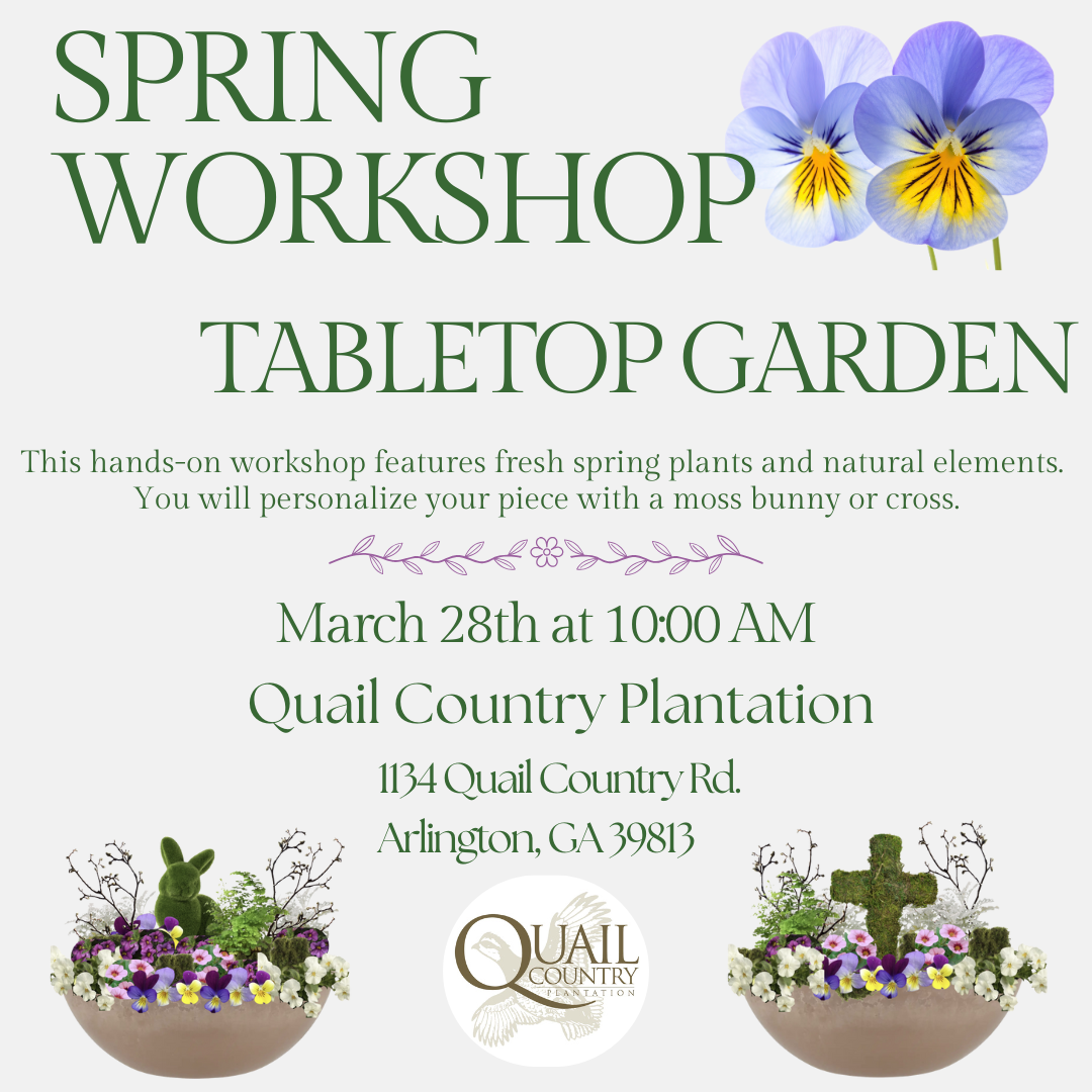 Spring Tabletop Garden Workshop
