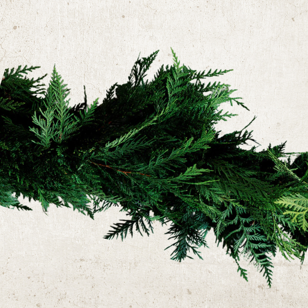 Deluxe Cedar Garland: Preorder Oct. 30