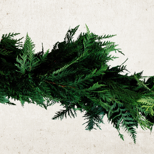 Deluxe Cedar Garland: Preorder Oct. 30