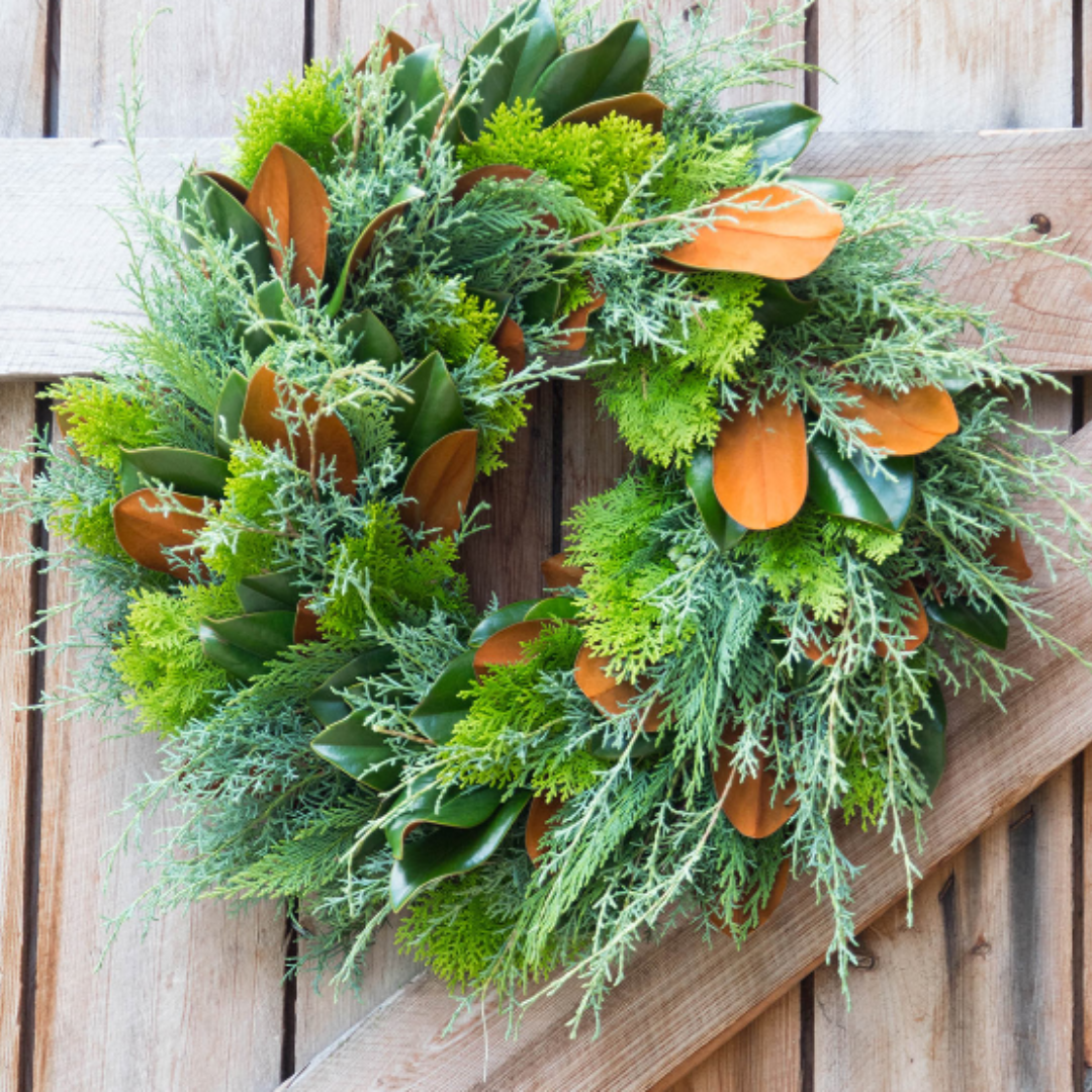 Magnolia & Cedar Wreath: Preorder Oct. 30