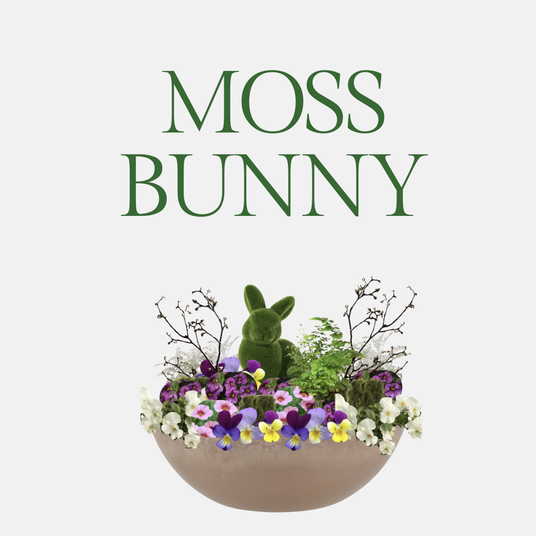 Spring Tabletop Garden Workshop