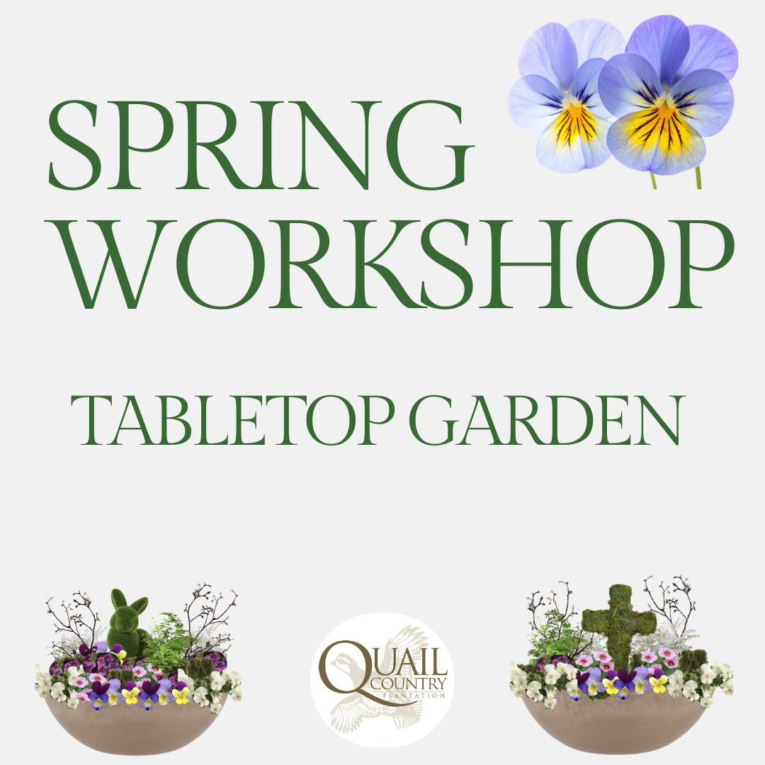 Spring Tabletop Garden Workshop