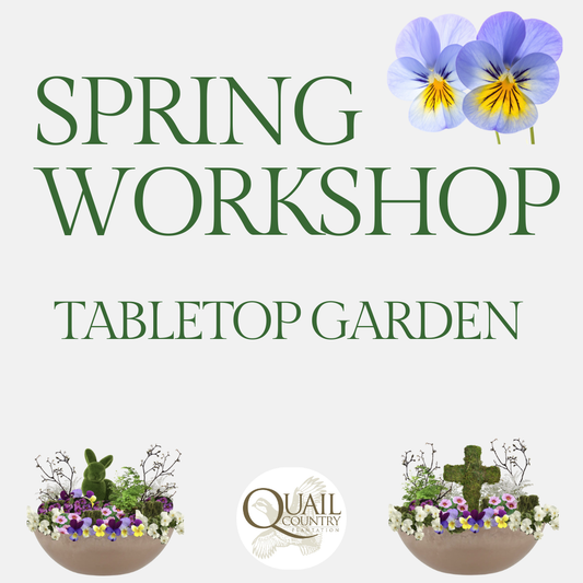 Spring Tabletop Garden Workshop